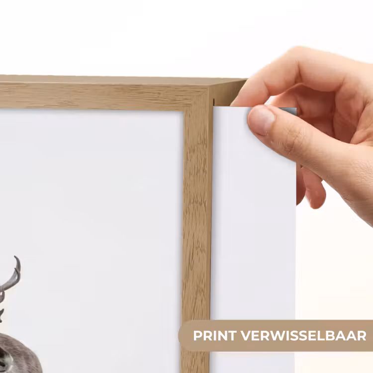 Rendier - Gewei - Sneeuw - Winter Light Box met batterij (Wandlamp) middel -USP_websiteprintNL