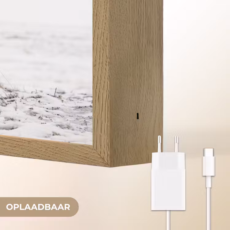 Rendier - Gewei - Sneeuw - Winter Light Box met batterij (Wandlamp) middel -USP_websiteoplaadbaarNL