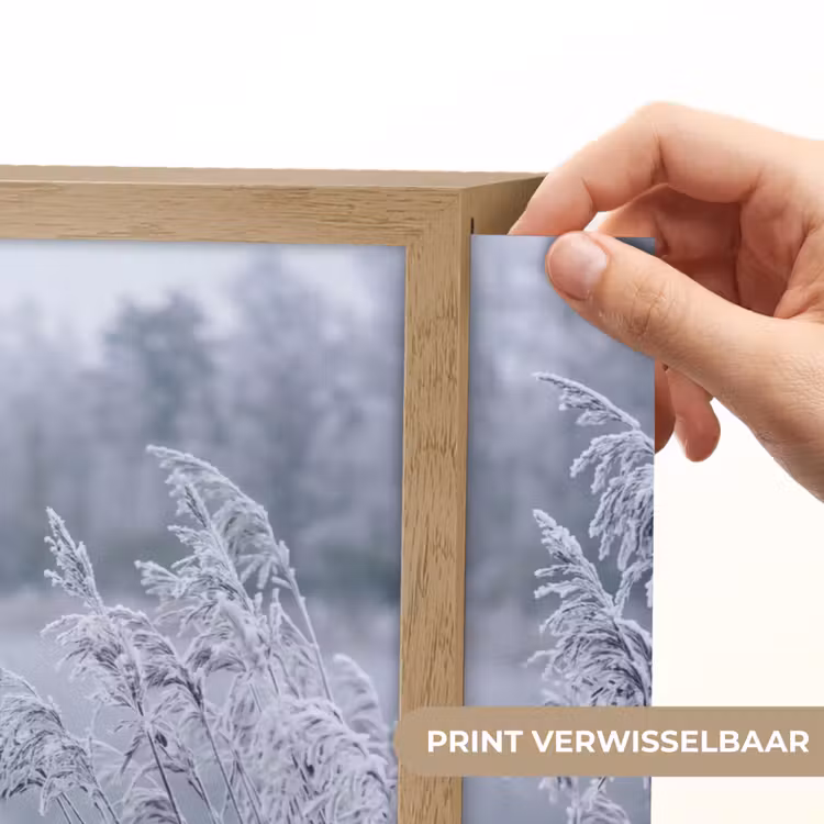 Riet - Bevroren - Winter - Natuur Light Box met batterij (Wandlamp) middel -USP_websiteprintNL