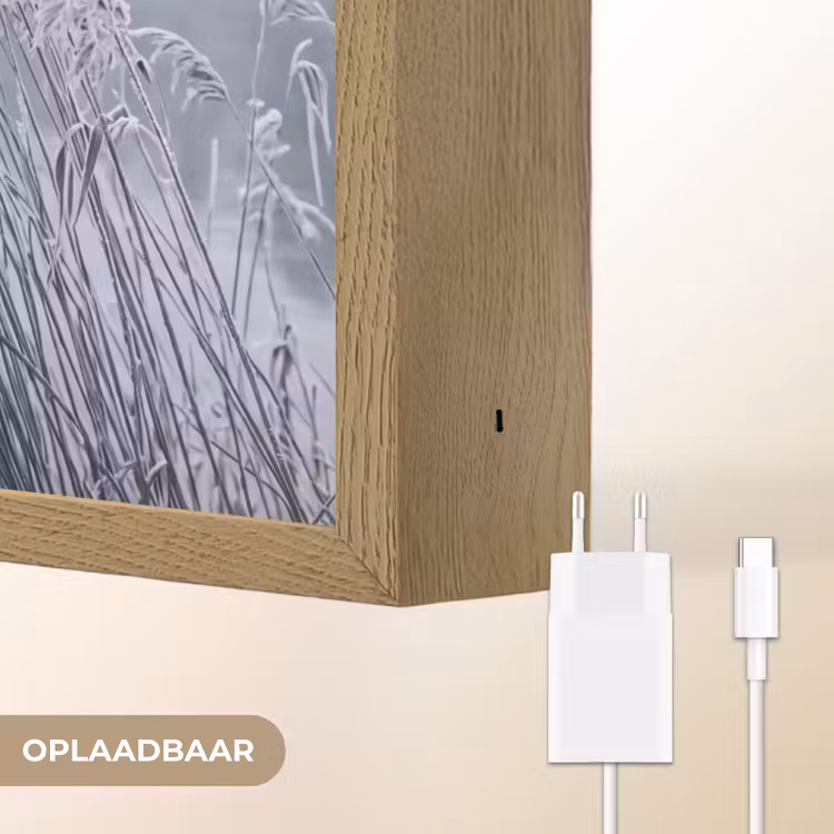 Riet - Bevroren - Winter - Natuur Light Box met batterij (Wandlamp) middel -USP_websiteoplaadbaarNL