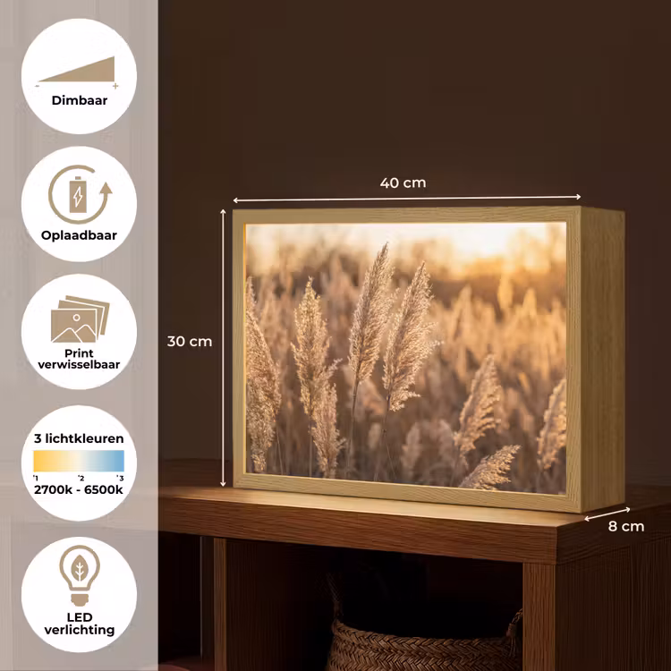 Rietpluimen - Gras - Zonsondergang - Goud - Serene Light Box met batterij (Wandlamp) middel -USP_websiteoverzichtNL