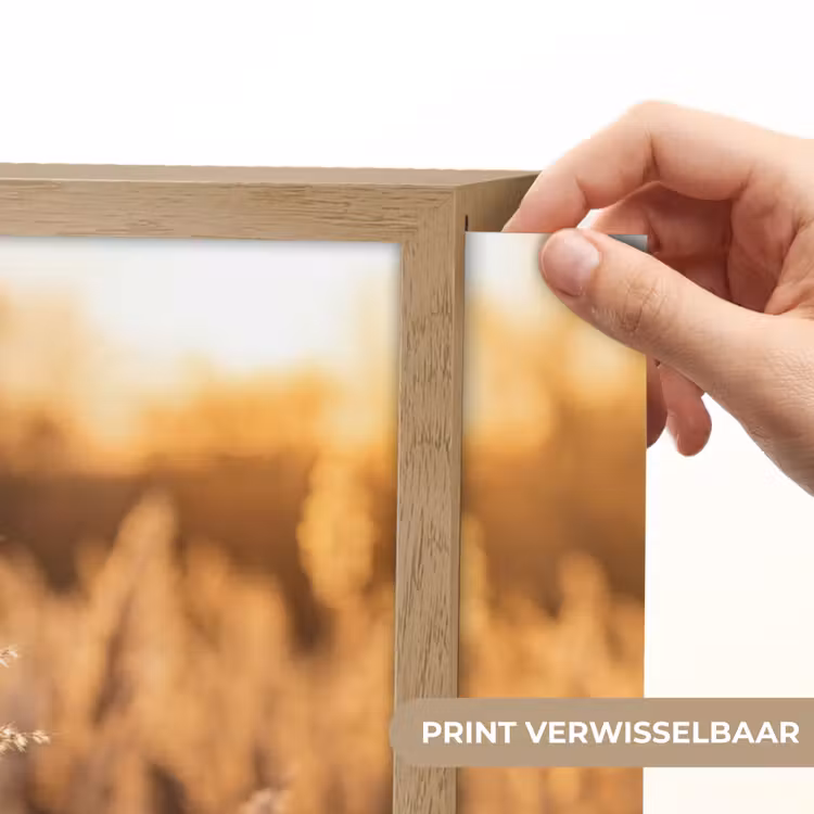 Rietpluimen - Gras - Zonsondergang - Goud - Serene Light Box met batterij (Wandlamp) middel -USP_websiteprintNL