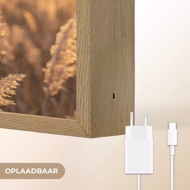 Rietpluimen - Gras - Zonsondergang - Goud - Serene Light Box met batterij (Wandlamp) middel -USP_websiteoplaadbaarNL