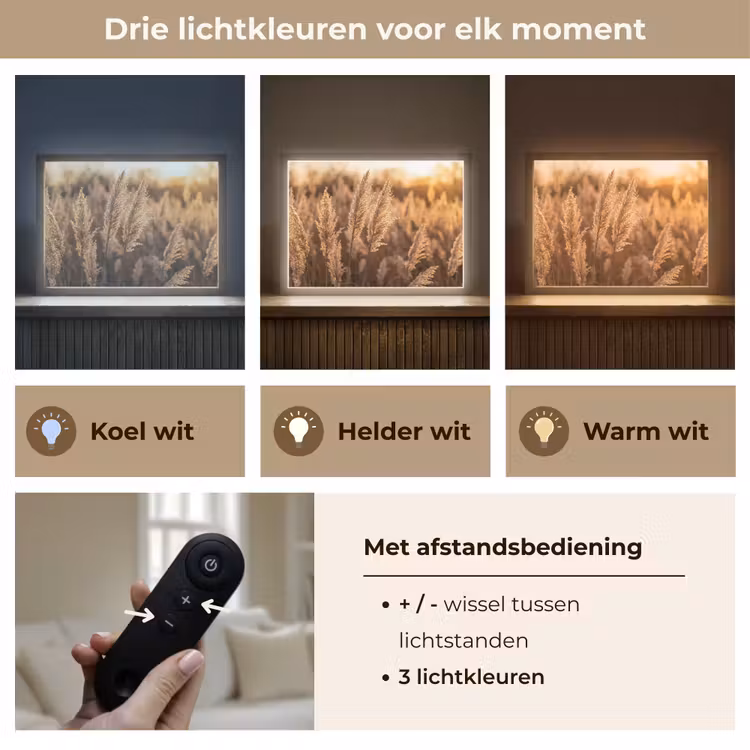Rietpluimen - Gras - Zonsondergang - Goud - Serene Light Box met batterij (Wandlamp) middel -USP_lichtkleurNL