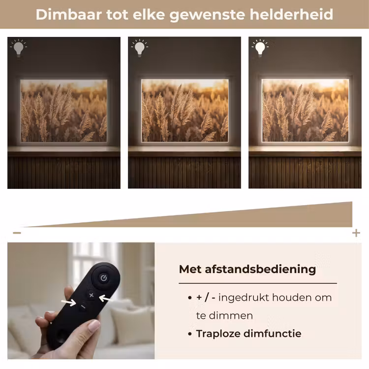 Rietpluimen - Gras - Zonsondergang - Goud - Serene Light Box met batterij (Wandlamp) middel -USP_dimbaarNL