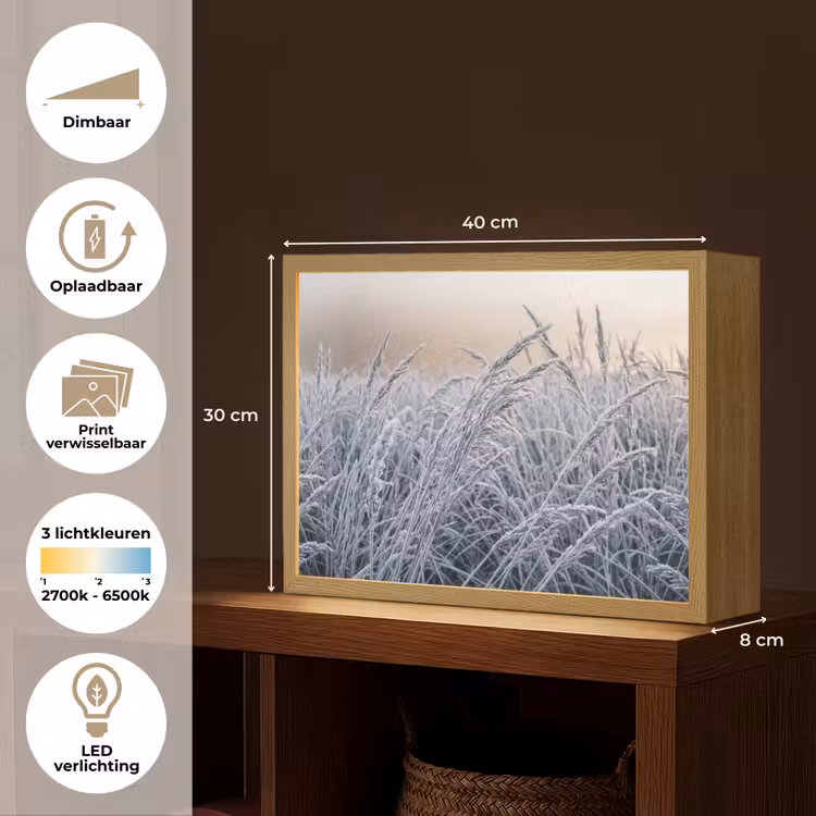 Rijp - Gras - Kristallen - Winter - Minimalistisch Light Box met batterij (Wandlamp) middel -USP_websiteoverzichtNL