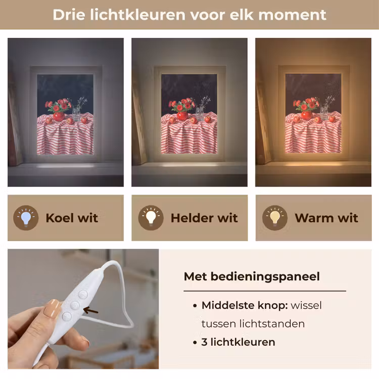 Lightbox - Wandlamp - Rode bloemen - Vaas - Rode bloemen - Vaas Light Box met kabel (Wandlamp) klein