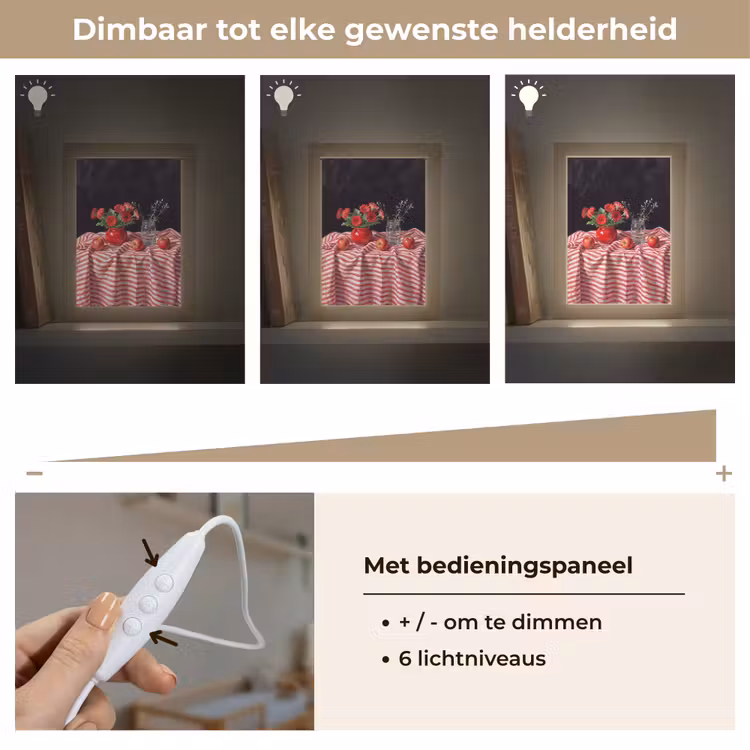 Lightbox - Wandlamp - Rode bloemen - Vaas - Rode bloemen - Vaas Light Box met kabel (Wandlamp) klein
