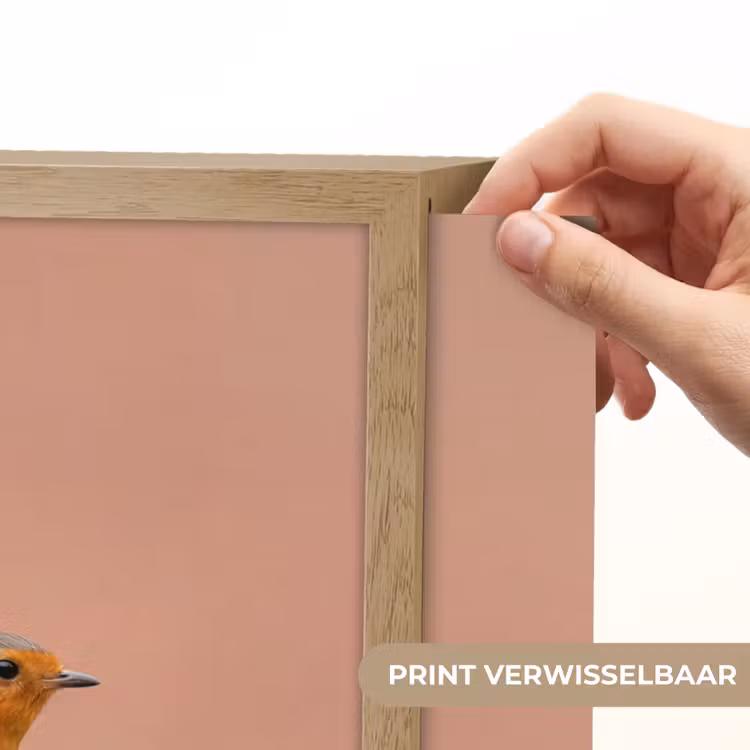 Roodborst - Natuur - Roze Light Box met batterij (Wandlamp) middel -USP_websiteprintNL