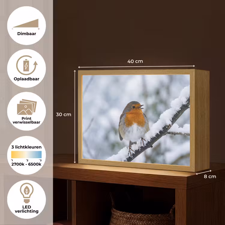 Roodborstje - Tak - Sneeuw - Winter - Levendig Light Box met batterij (Wandlamp) middel -USP_websiteoverzichtNL