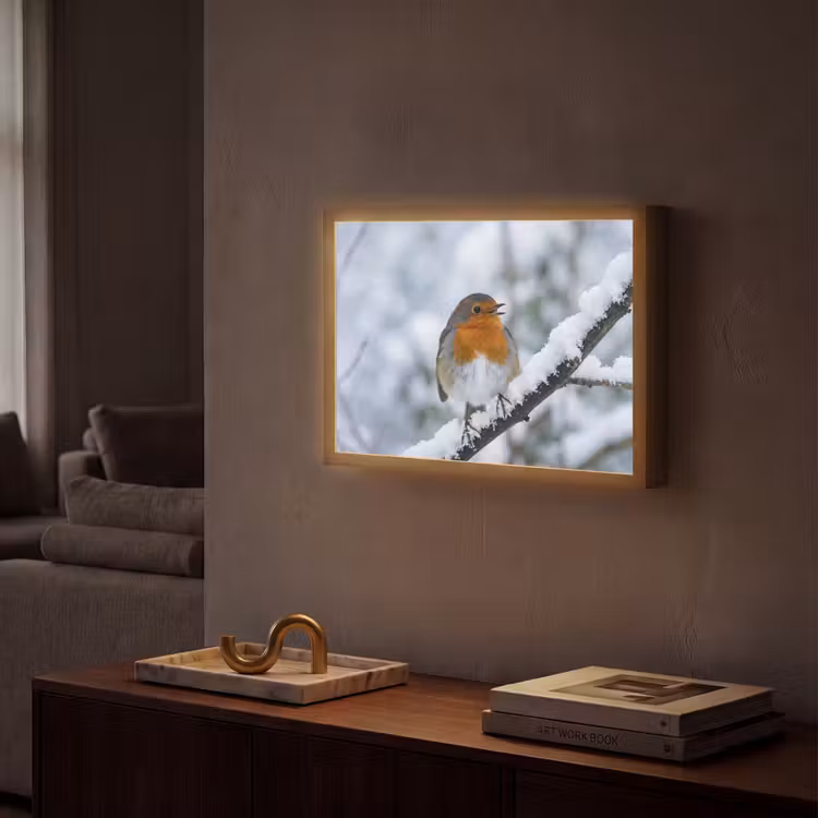 Roodborstje - Tak - Sneeuw - Winter - Levendig Light Box met batterij (Wandlamp) middel -sfeer1