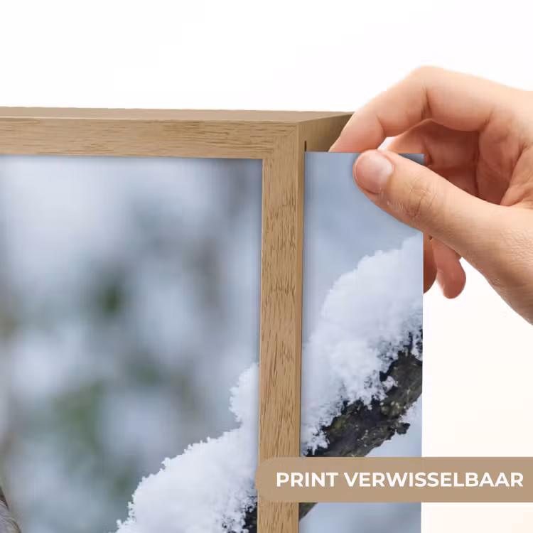 Roodborstje - Tak - Sneeuw - Winter - Levendig Light Box met batterij (Wandlamp) middel -USP_websiteprintNL