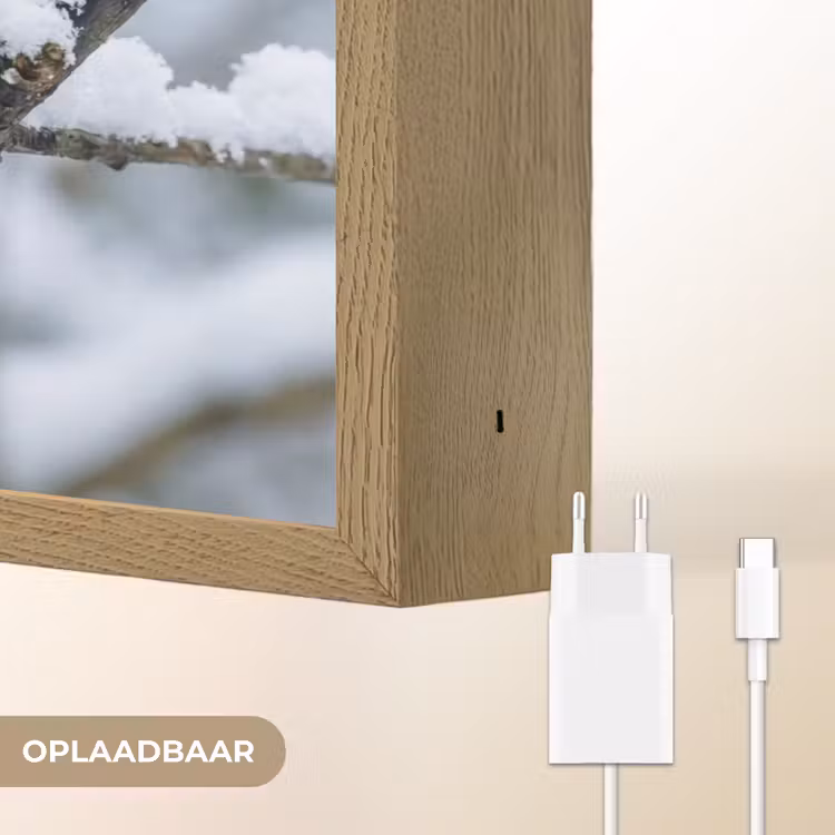 Roodborstje - Tak - Sneeuw - Winter - Levendig Light Box met batterij (Wandlamp) middel -USP_websiteoplaadbaarNL