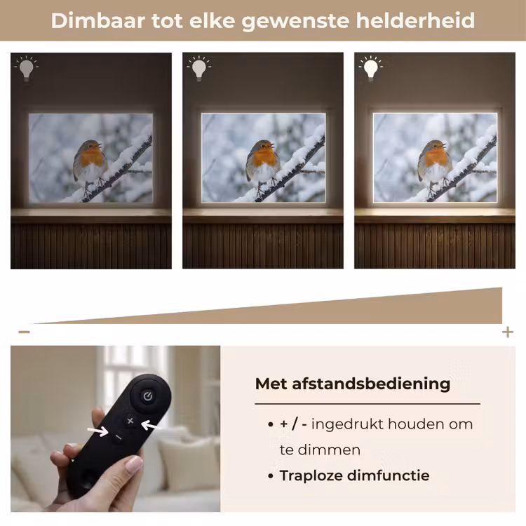 Roodborstje - Tak - Sneeuw - Winter - Levendig Light Box met batterij (Wandlamp) middel -USP_dimbaarNL