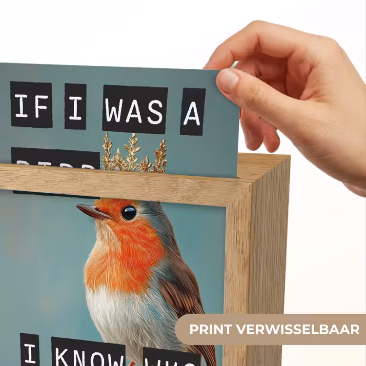 Roodborstje - Vogel - Blauw - Decoratie Light Box met kabel (Wandlamp) klein -USP_websiteprintNL