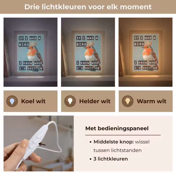 Roodborstje - Vogel - Blauw - Decoratie Light Box met kabel (Wandlamp) klein -USP_lichtkleurNL