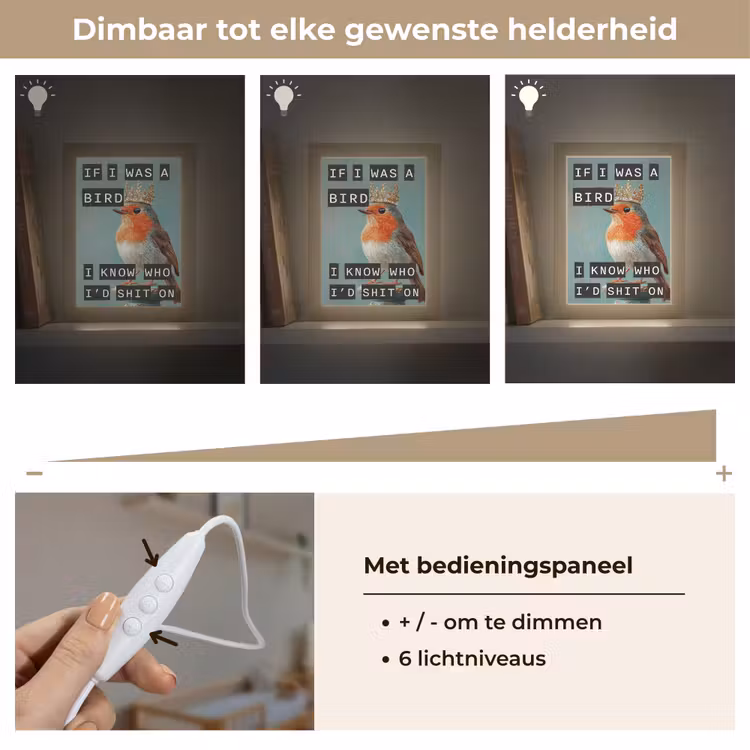 Roodborstje - Vogel - Blauw - Decoratie Light Box met kabel (Wandlamp) klein -USP_dimbaarNL