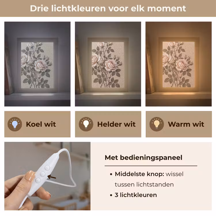 Roos - Mozaïek - Bloemen - Klassiek - Beige Light Box met kabel (Wandlamp) klein -USP_lichtkleurNL