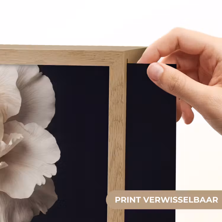 Roos - Tijdloos - Zwart Light Box met batterij (Wandlamp) middel -USP_websiteprintNL