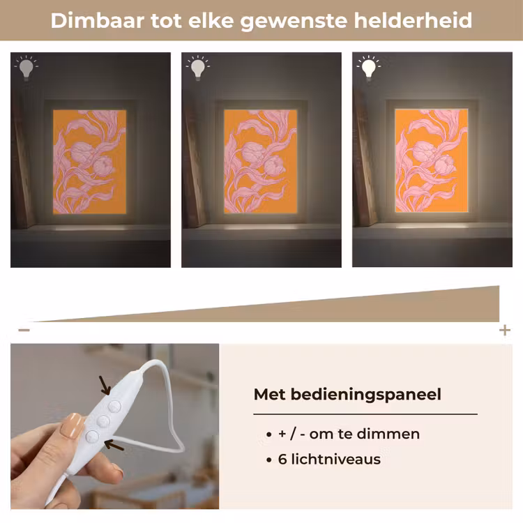 Lightbox - Wandlamp - Roze bloemen - Modern - Roze bloemen - Modern Light Box met kabel (Wandlamp) klein
