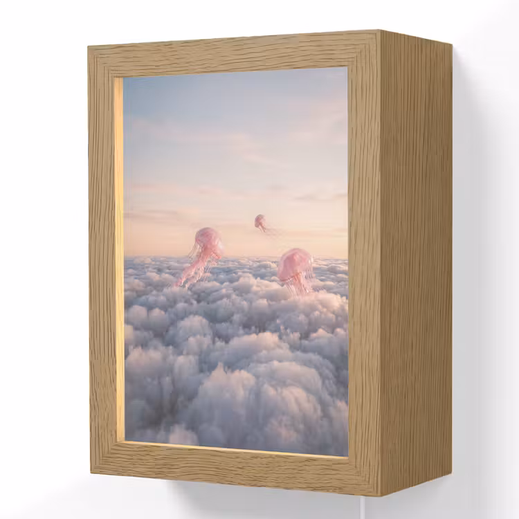 Lightbox - Wandlamp - Roze dier - Wolken - Roze dier - Wolken Light Box met kabel (Wandlamp) klein