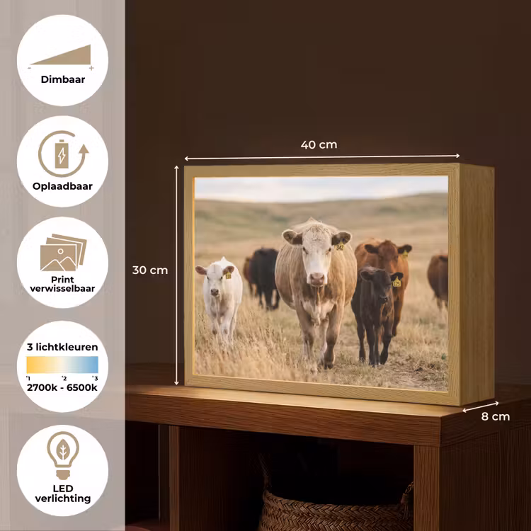 Runderen - Kudde - Landschap - Weide - Rustig Light Box met batterij (Wandlamp) middel -USP_websiteoverzichtNL