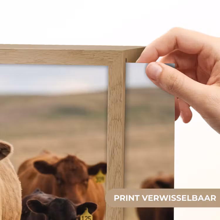 Runderen - Kudde - Landschap - Weide - Rustig Light Box met batterij (Wandlamp) middel -USP_websiteprintNL