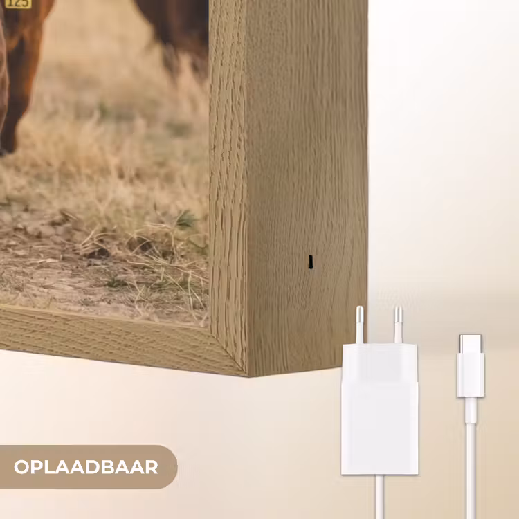 Runderen - Kudde - Landschap - Weide - Rustig Light Box met batterij (Wandlamp) middel -USP_websiteoplaadbaarNL
