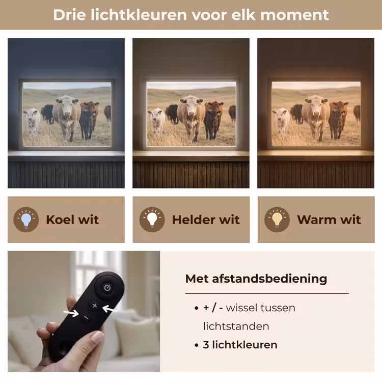 Runderen - Kudde - Landschap - Weide - Rustig Light Box met batterij (Wandlamp) middel -USP_lichtkleurNL