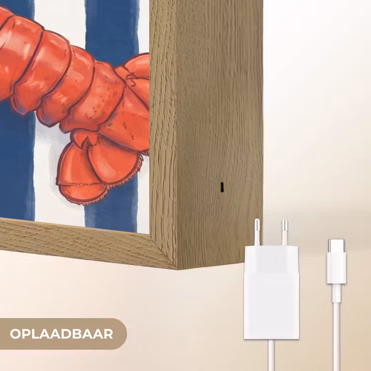 Schaaldier - Kreeft - Marine - Illustratie - Rood Light Box met batterij (Wandlamp) middel -USP_websiteoplaadbaarNL