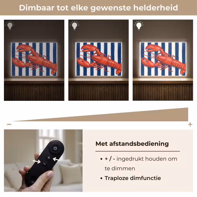 Schaaldier - Kreeft - Marine - Illustratie - Rood Light Box met batterij (Wandlamp) middel -USP_dimbaarNL