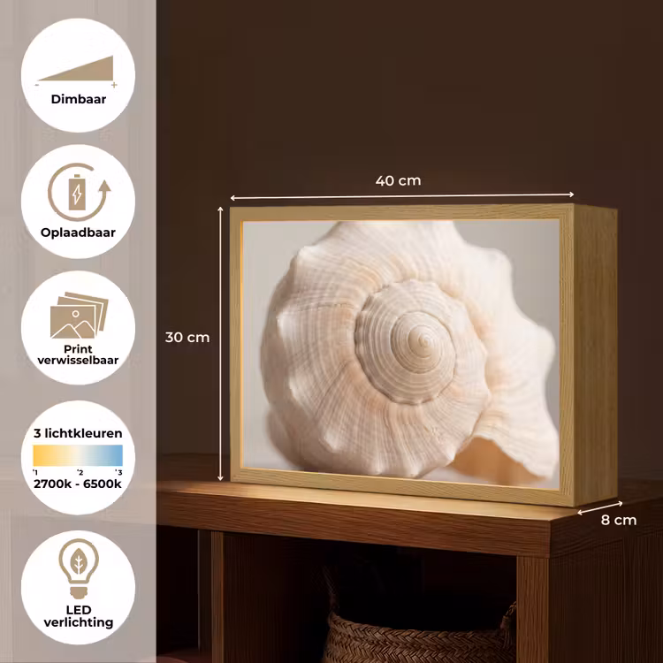 Schelp - Detail - Beige Light Box met batterij (Wandlamp) middel -USP_websiteoverzichtNL