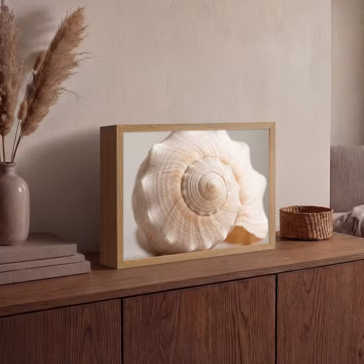 Schelp - Detail - Beige Light Box met batterij (Wandlamp) middel -sfeer2