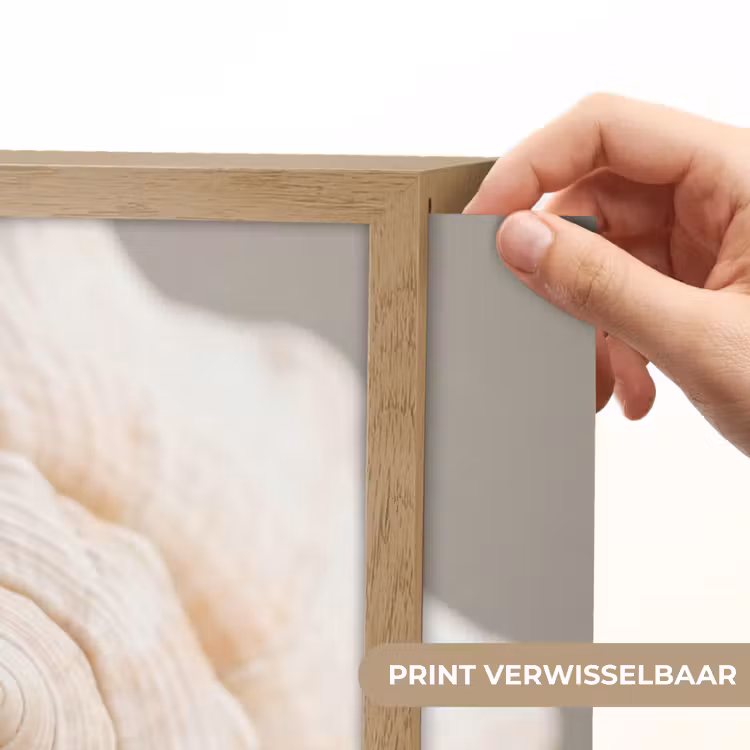 Schelp - Detail - Beige Light Box met batterij (Wandlamp) middel -USP_websiteprintNL