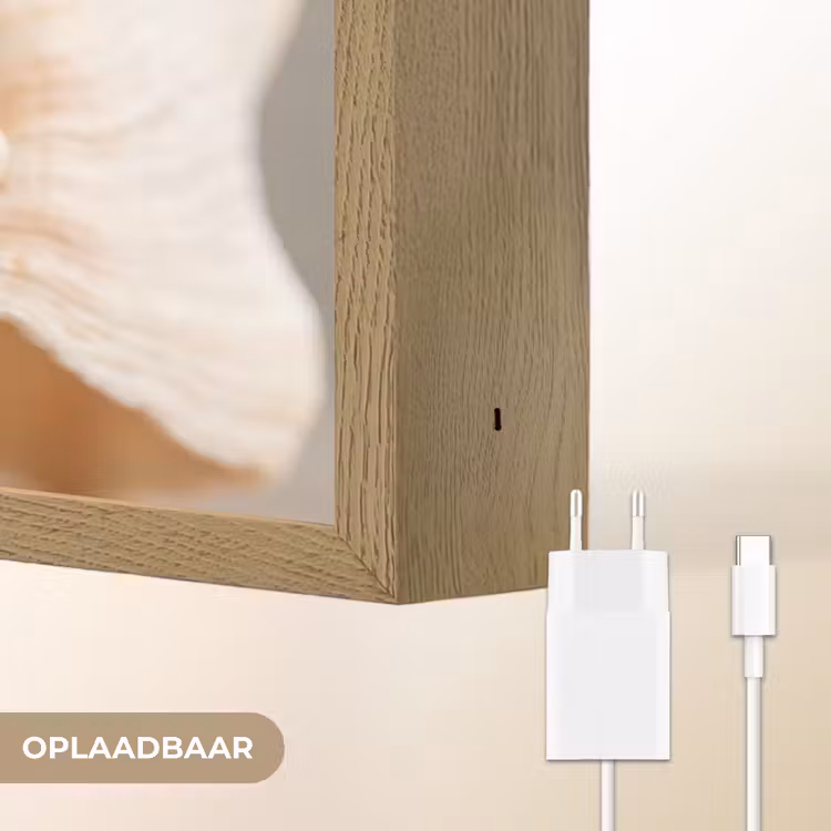 Schelp - Detail - Beige Light Box met batterij (Wandlamp) middel -USP_websiteoplaadbaarNL
