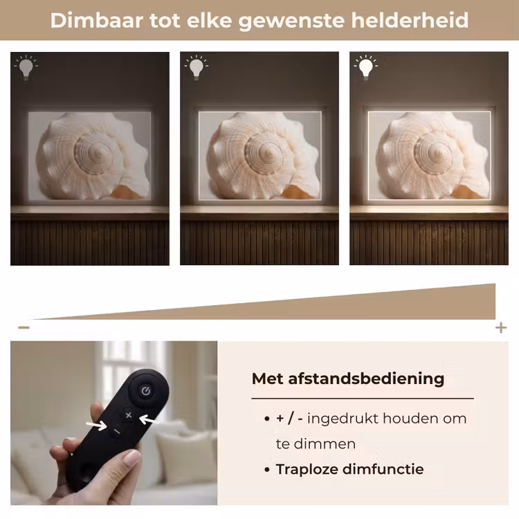 Schelp - Detail - Beige Light Box met batterij (Wandlamp) middel -USP_dimbaarNL