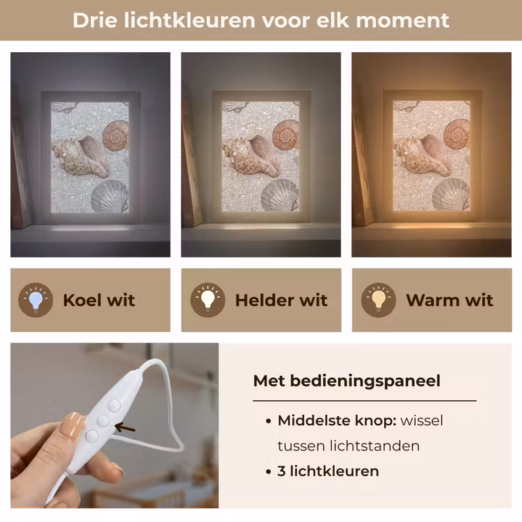Schelp - Mozaïek - Zee - Beige - Modern Light Box met kabel (Wandlamp) klein -USP_lichtkleurNL