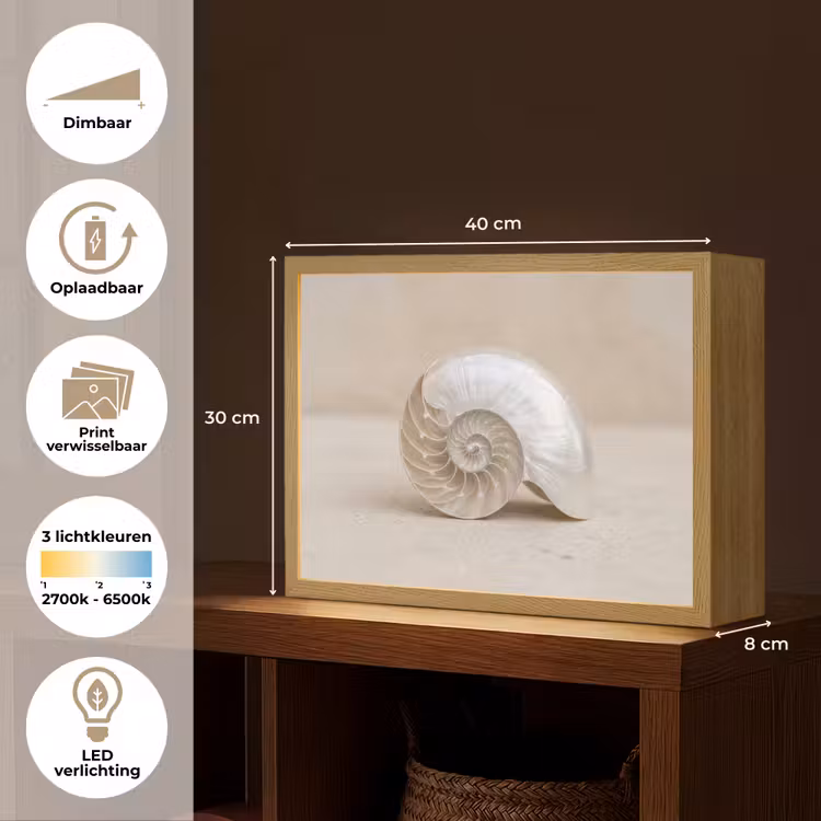 Schelp - Spiraal - Beige Light Box met batterij (Wandlamp) middel -USP_websiteoverzichtNL