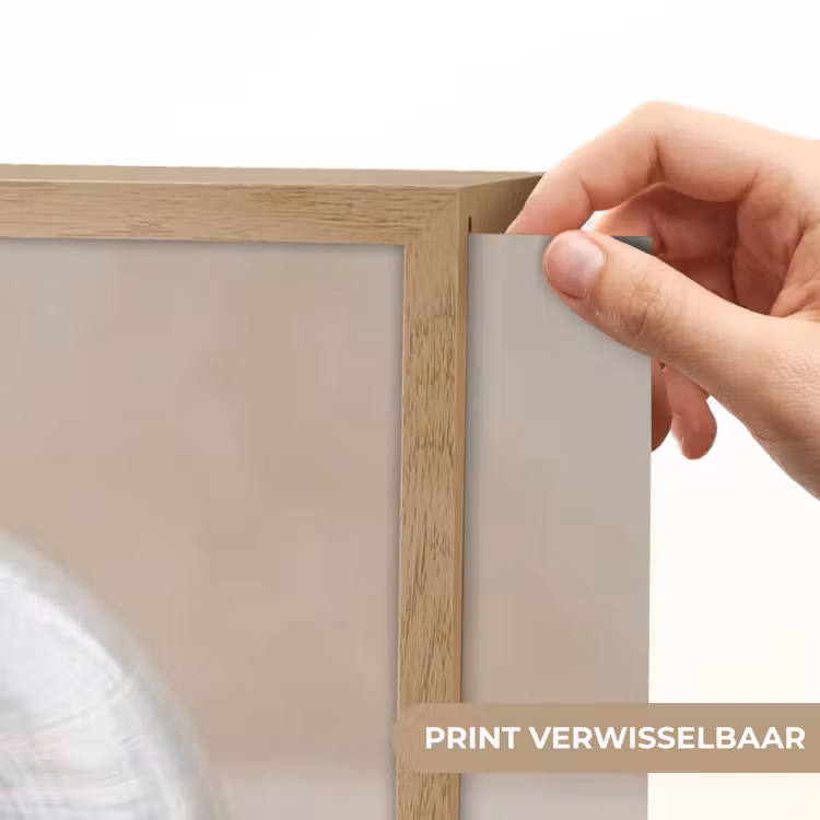 Schelp - Spiraal - Beige Light Box met batterij (Wandlamp) middel -USP_websiteprintNL