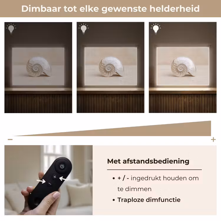 Schelp - Spiraal - Beige Light Box met batterij (Wandlamp) middel -USP_dimbaarNL
