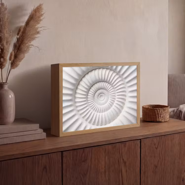 Schelp - Spiraal - Wit Light Box met batterij (Wandlamp) middel -sfeer2