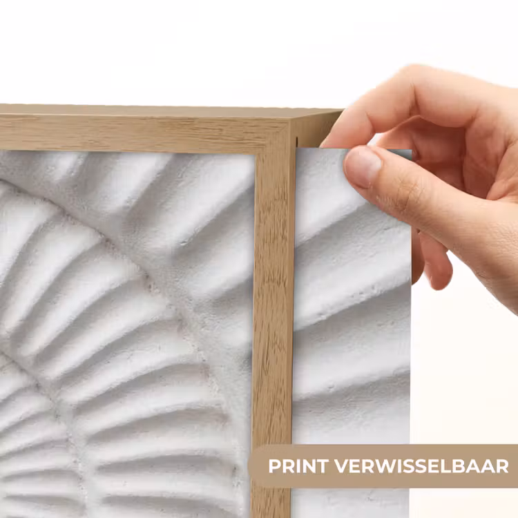 Schelp - Spiraal - Wit Light Box met batterij (Wandlamp) middel -USP_websiteprintNL
