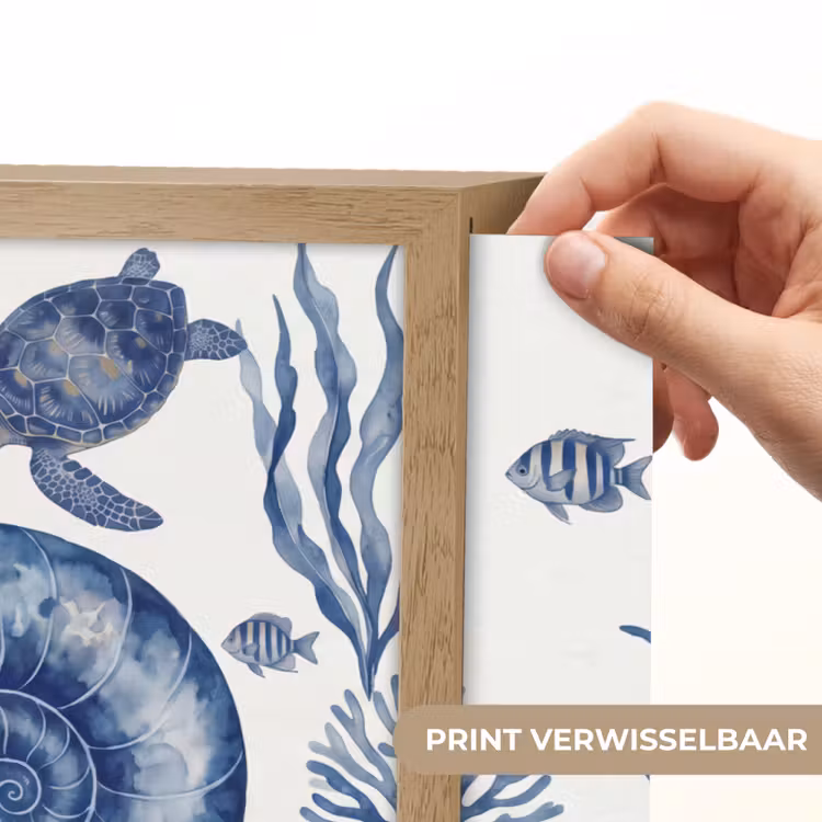 Schelp - Spiraal - Zeeleven - Aquarel - Blauw Light Box met batterij (Wandlamp) middel -USP_websiteprintNL