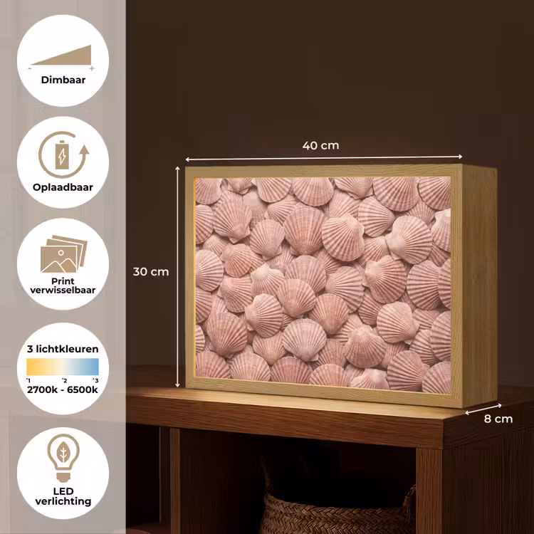 Schelpen - Patroon - Roze Light Box met batterij (Wandlamp) middel -USP_websiteoverzichtNL