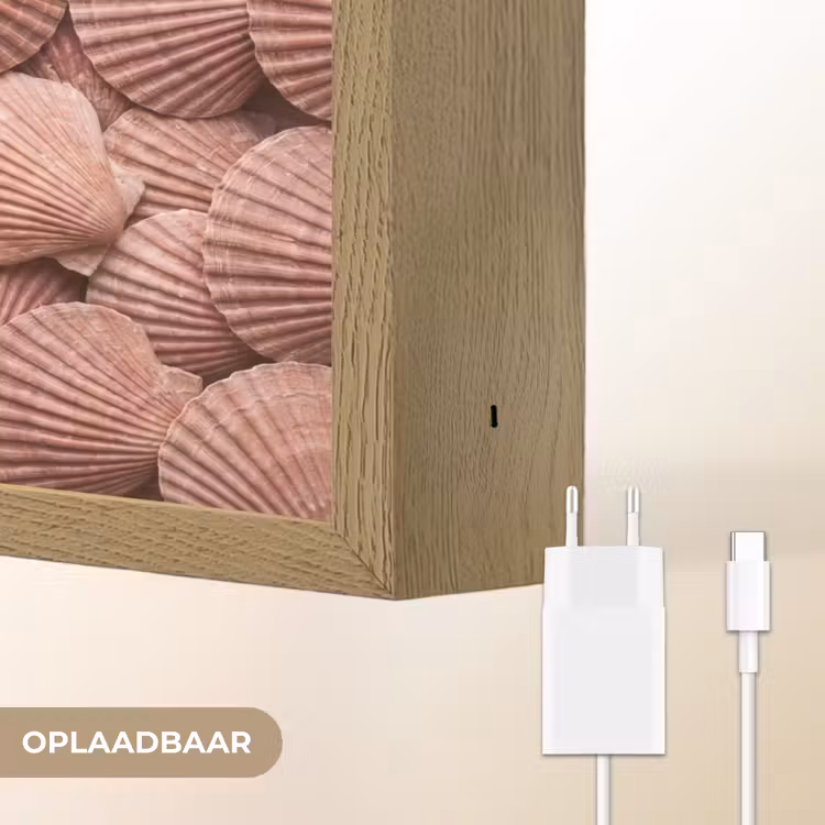 Schelpen - Patroon - Roze Light Box met batterij (Wandlamp) middel -USP_websiteoplaadbaarNL