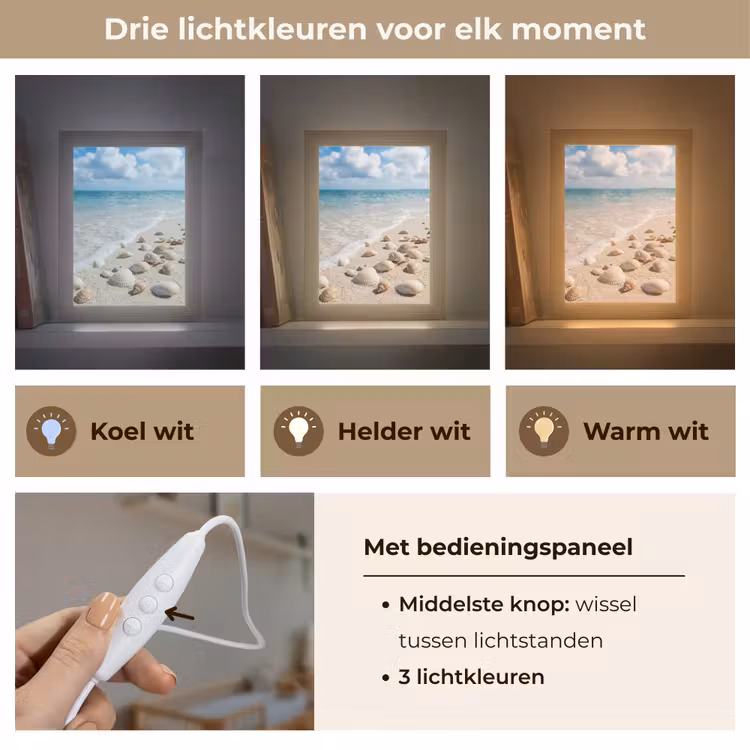 Schelpen - Strand - Natuur - Beige Light Box met kabel (Wandlamp) klein -USP_lichtkleurNL