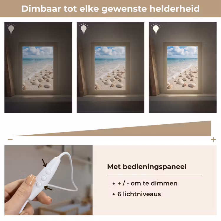 Schelpen - Strand - Natuur - Beige Light Box met kabel (Wandlamp) klein -USP_dimbaarNL