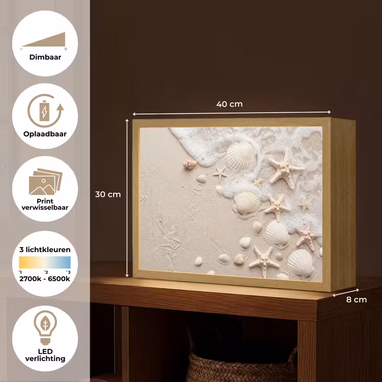 Schelpen - Zeesterren - Strand Light Box met batterij (Wandlamp) middel -USP_websiteoverzichtNL