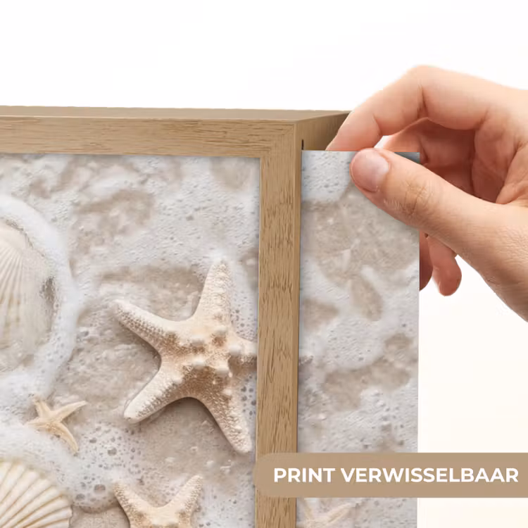 Schelpen - Zeesterren - Strand Light Box met batterij (Wandlamp) middel -USP_websiteprintNL