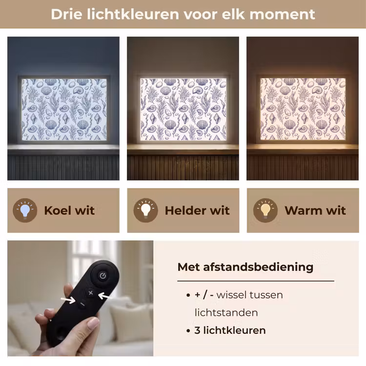 Schelpen - Zeewier - Oceaan - Illustratie - Blauw Light Box met batterij (Wandlamp) middel -USP_lichtkleurNL
